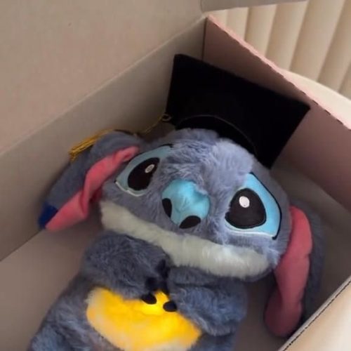 🔹 “Stitch Animado: ¡El Peluche que Cobra Vida!”